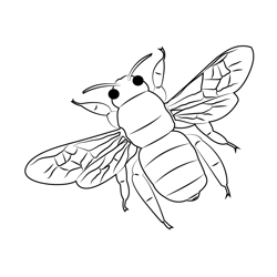 Bumble Bee 2 Free Coloring Page for Kids