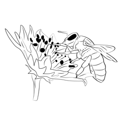 Bumble Bee 3 Free Coloring Page for Kids