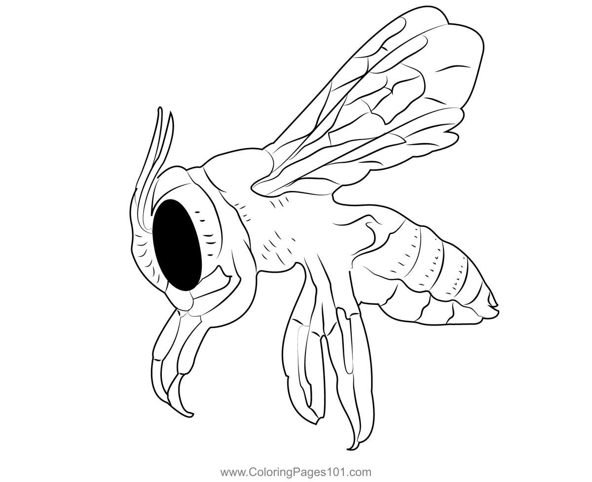Bumble Bee 5 Coloring Page for Kids - Free Bumblebees Printable