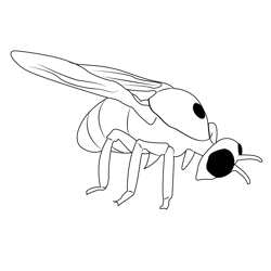 Bumble Bee 7 Free Coloring Page for Kids