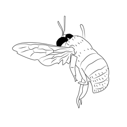 Fly Bumble Bee Free Coloring Page for Kids