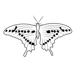 Beautiful Butterfly Free Coloring Page for Kids