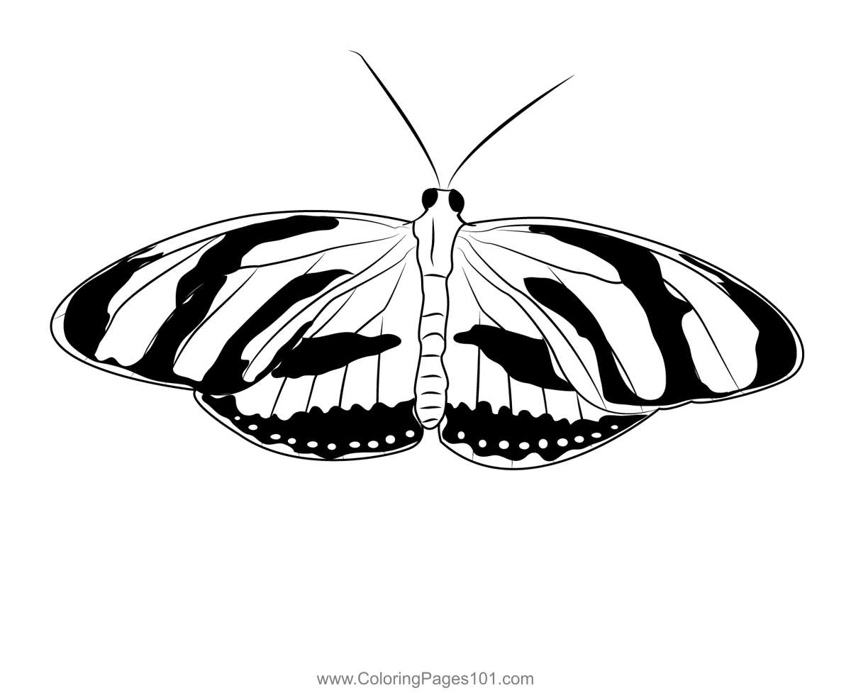 Black Butterfly Coloring Page for Kids Free Butterflies Printable