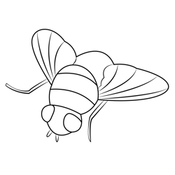 Blue Bottle Fly Free Coloring Page for Kids