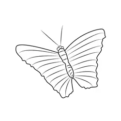 Butterfly On A Banana Leaf Free Coloring Page for Kids