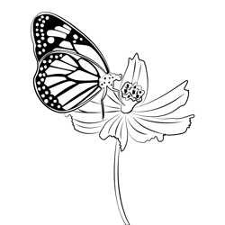 Butterfly On Flower 1 Free Coloring Page for Kids
