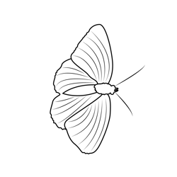 Butterfly On Leaf Free Coloring Page for Kids