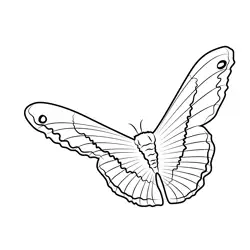 Butterfly Sitting On Door Free Coloring Page for Kids