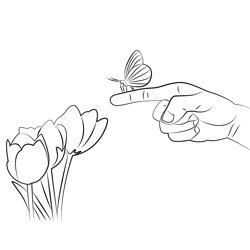 Butterfly Sitting On Hand Free Coloring Page for Kids