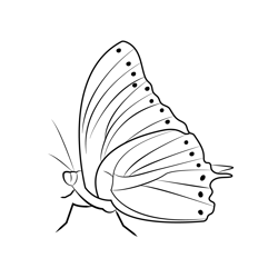Butterfly Free Coloring Page for Kids