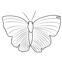 Butterly On Leaf Free Coloring Page for Kids