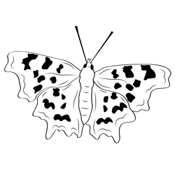 Endangered Butterflies Free Coloring Page for Kids