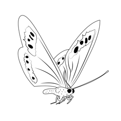 Fly Butterfly Free Coloring Page for Kids