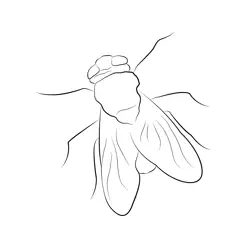 Fly Close Free Coloring Page for Kids