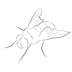 Fly Look Free Coloring Page for Kids