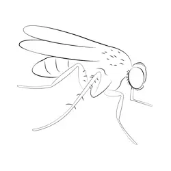 Fly Free Coloring Page for Kids