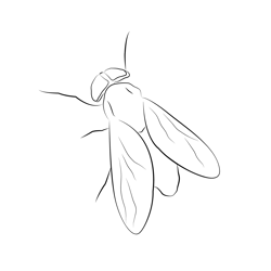 Horse Fly Free Coloring Page for Kids