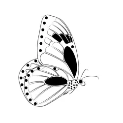 Monarch Butterflies Flying Free Coloring Page for Kids