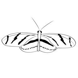 Monarch Butterfly Free Coloring Page for Kids