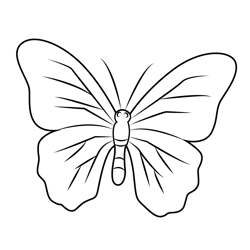 Morpho Didius Free Coloring Page for Kids