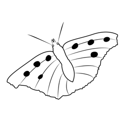 Nymphalis Urticae Butterfly Free Coloring Page for Kids
