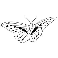 Open Wings Lemon Butterfly Free Coloring Page for Kids
