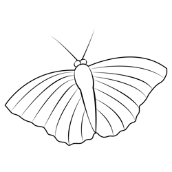 Pansy Yellow Butterfly Free Coloring Page for Kids