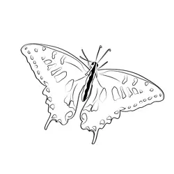 Swallowtail Butterfly Free Coloring Page for Kids