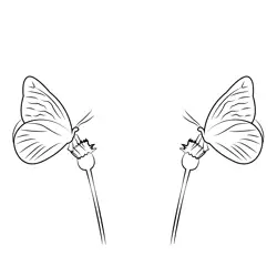 Two Butterflies On Flower Free Coloring Page for Kids