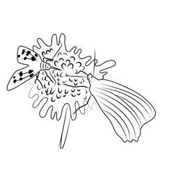 Two Butterfly Sitting On Flower Free Coloring Page for Kids