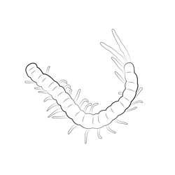 Centipede 2 Free Coloring Page for Kids
