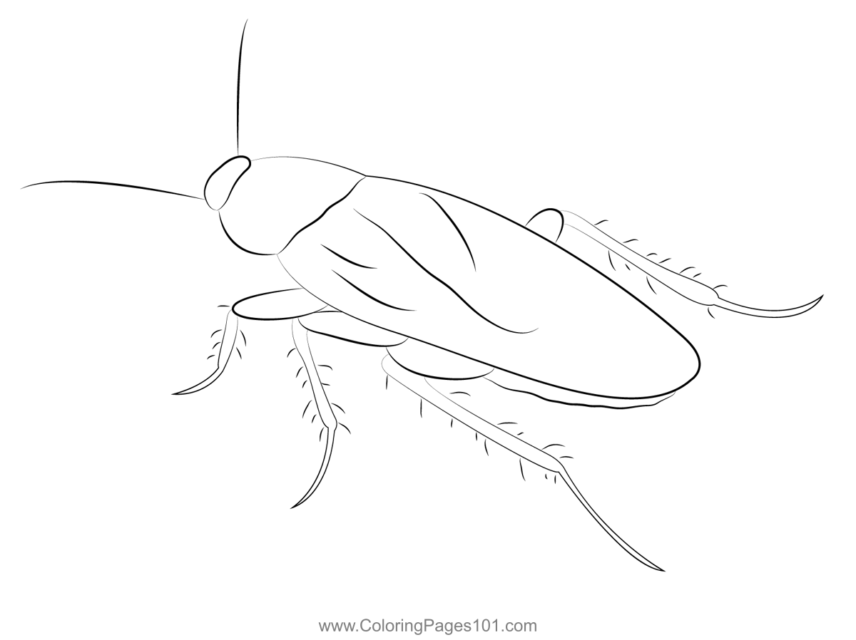 Cockroach Control Coloring Page for Kids - Free Cockroaches Printable