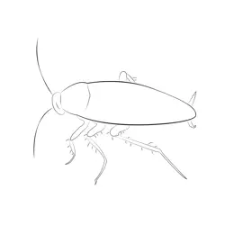 Cockroach Robot Fast Free Coloring Page for Kids