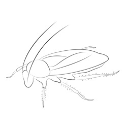 Red Cockroach Free Coloring Page for Kids