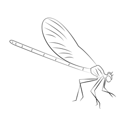 Black And Blue Damselfly Free Coloring Page for Kids