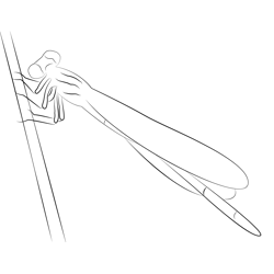 Red Damselfly Free Coloring Page for Kids