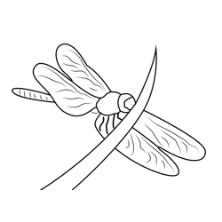 Dragonfly On Grass Free Coloring Page for Kids
