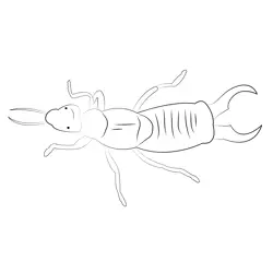 Earwig Up Look Free Coloring Page for Kids
