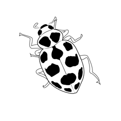 Black Spotted Ladybug Free Coloring Page for Kids