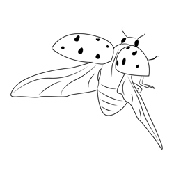 Flying Ladybug Free Coloring Page for Kids