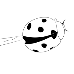 Ladybug 3 Free Coloring Page for Kids