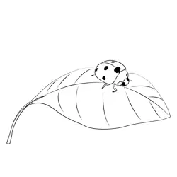 Ladybug On A Leaf Free Coloring Page for Kids