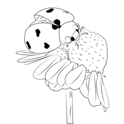 Ladybug Pollinate Flowers Free Coloring Page for Kids