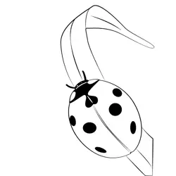 Lady Bug Free Coloring Page for Kids
