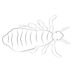 Lice Free Coloring Page for Kids