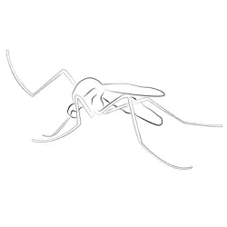 coloring page for dengue mosquito