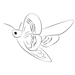 Hawk Moth Free Coloring Page for Kids