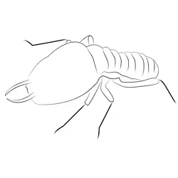 Red Termites Free Coloring Page for Kids