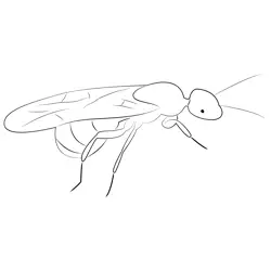 Termites Free Coloring Page for Kids