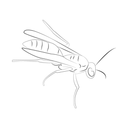 Misc Wasp Free Coloring Page for Kids